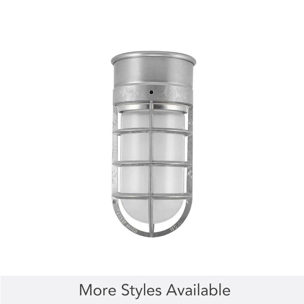 Flush Mount Guard Sconce, 975-Galvanized, CGG-Standard Cast Guard, FST-Frosted Glass